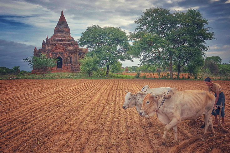 Myanmar Photo Tours 2021