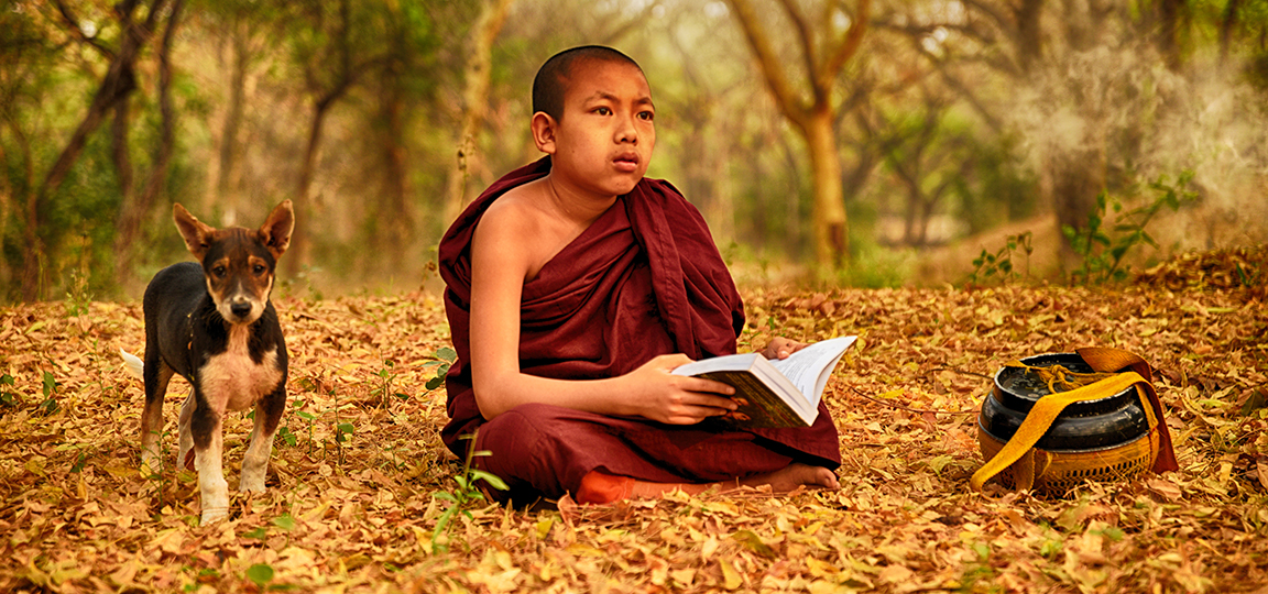 Young novice monk reading in a serene forest setting with a loyal dog nearby, showcasing the charm of Travel Photography Myanmar